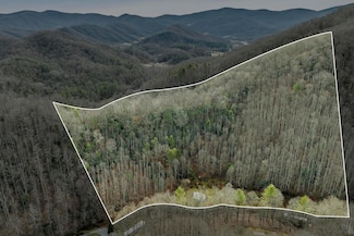 179 Smith Branch Rd, Roan Mountain, TN 37687