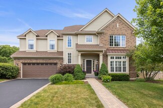 13423 Morning Mist Place, Plainfield, IL 60585