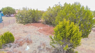 8342 Snowflake Cir, Show Low, AZ 85901