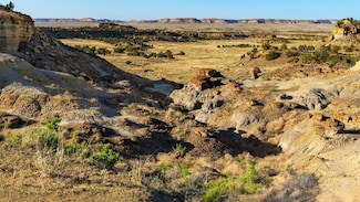 Tbd County Road 19, Grants, NM 87313
