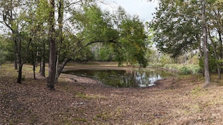 190 Andrea Ln, Coldspring, TX 77331