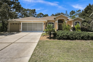 8 Black Willow Dr, Homosassa, FL 34446