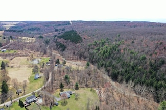 100 Hall Rd, Owego, NY 13732