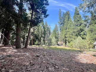 80 Paiute Trail, Graeagle, CA 96103