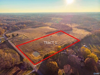 Tract 1 County Hwy 35, Lexington, AL 35648