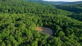 3 Chimney Field Rd, Winslow, AR 72959