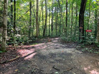 20594 N Fordney Tower Rd, McMillan Township, MI 49868