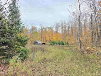 16454 Blue Rd, Nisula, MI 49952