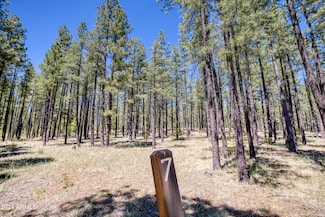 9586 Sierra Springs Way Unit 7, Pinetop, AZ 85935