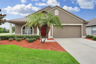 30142 Sotogrande Loop, Wesley Chapel, FL 33543