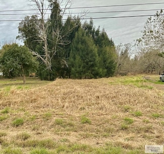 0 Military Hwy, Los Indios, TX