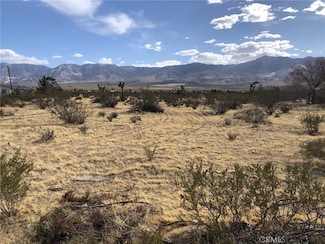 31357 Pawnee St, Lucerne Valley, CA 92356