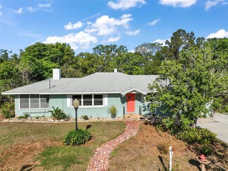 1313 Crestview Dr, Mount Dora, FL 32757