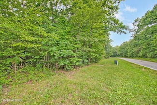 0 Simmons Rd Unit RTC2810020, Pikeville, TN 37367