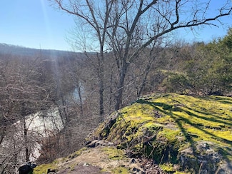 1701 Odom Point Rd, Bee Branch, AR 72013