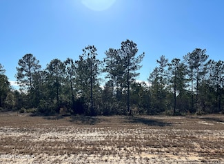 2940 W Timber Crest Dr, Leland, NC 28451