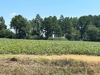 Lot 8, 2.3+-ac Alabama 53, Dothan, AL 36301
