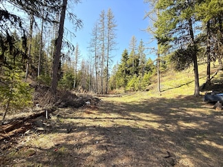 Tbd Giveout Creek Rd, Wauconda, WA 98859