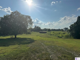 985 Buck Knobs Rd, Ekron, KY 40117