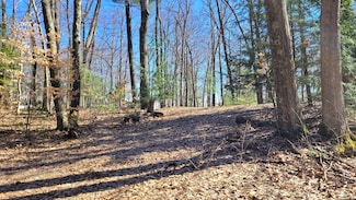 947 W Locust St, Lincoln Township, MI 49349