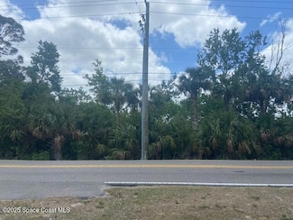 Tbd Canaveral Groves Blvd, Cocoa, FL 32926