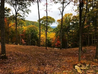 DR Lot #60 N Forest Trail, Hot Springs, VA 24445