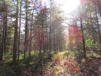 N N Croghan Rd, Natural Bridge, NY 13665