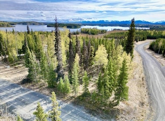Tr A4 Aletha Ct, Funny River, AK 99669