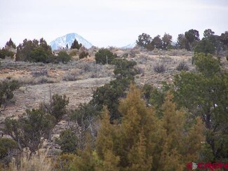 341 Road, Monticello, UT 84535
