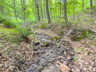 34 Acres Apache Rd, Woodlawn, VA 24381