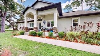 927 Sylvia Ln, Tampa, FL 33613