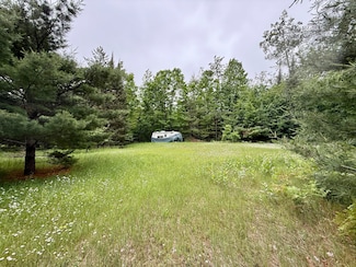 16444 Cricket Trail, Wolverine, MI 49799