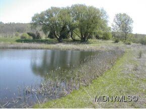 0 Cogar Rd Unit 1401663, Schuyler, NY 13340