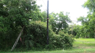 0 Birch Rd, Santa Fe, TX 77517