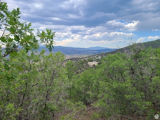 5 S Red Fox Way Unit 5, Fairview, UT 84629