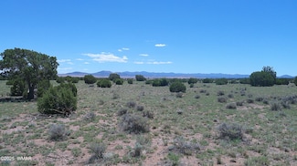 0 Windsor Valley Ranch Lot 87 Unit 257219, Concho Valley, AZ 85924