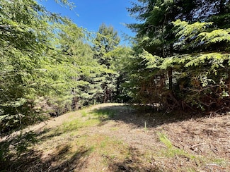 150 Tanglewood Dr, Elk River, CA 95503