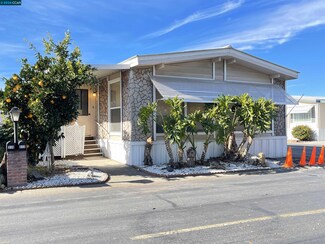 312 El Serena Unit 141, Pacheco, CA 94553