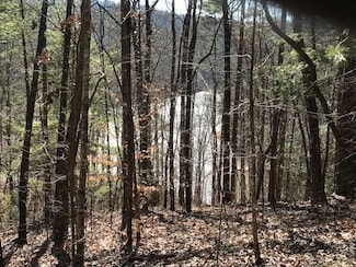 0 Lonesome Pine Rd Unit 7858460, Shoal Creek, NC 28906