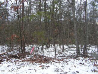 793 Hickory Ln, Mammoth Cave, KY 42259