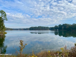 0 Rock Ranch Rd, Picayune, MS 39466
