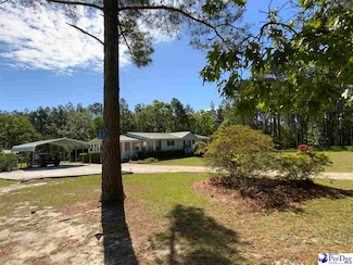 4622 Skyview Ln, Wallace, SC 29596