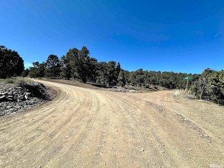 1551 Bonanza Rd, Virginia City, NV 89521