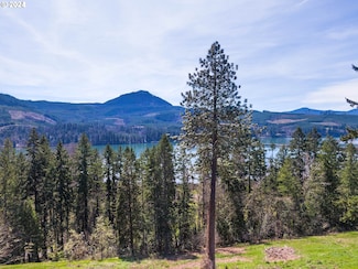 580 Sunridge Ln Unit 49, Lowell, OR 97452