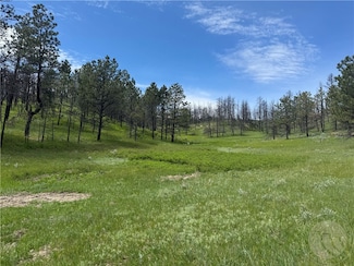 49 Bruner Mountain Rd, Roundup, MT 59072