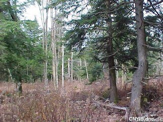0 Woodland Ln Unit S245743, Orwell, NY 13426