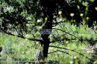 230 Cummings Dr, Ruidoso, NM 88345