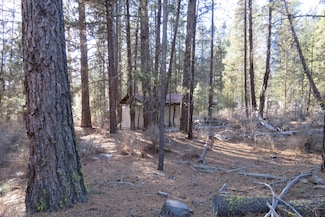 1258 Burr Ave, Chiloquin, OR 97624