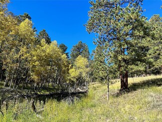 311 Pine Dr, Bailey, CO 80421