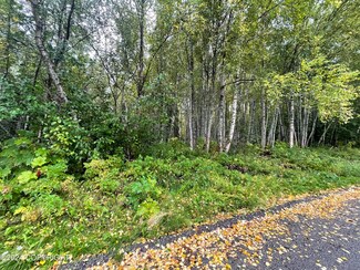 L5 Marlene Ave, Nikiski/North Kenai, AK 99635